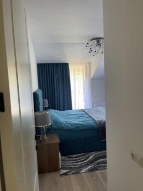 Family cottages Bakuriani